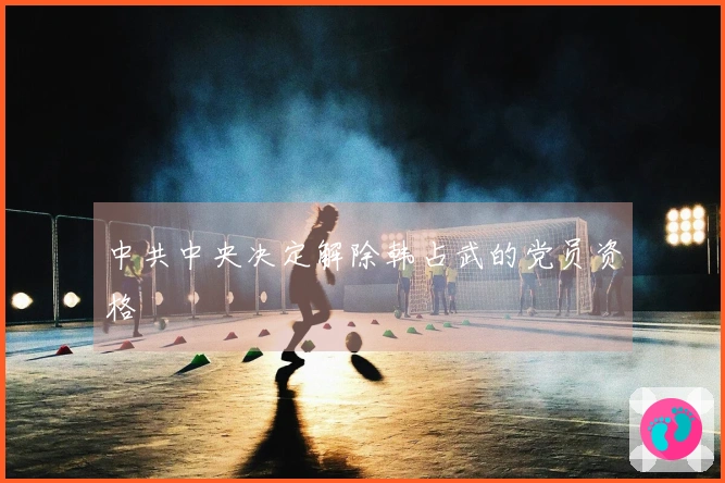 中共中央决定解除韩占武的党员资格